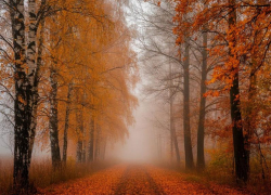 В Луганске потеплеет до +15