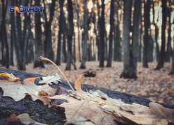 В субботу синоптики обещают луганчанам теплую и солнечную погоду