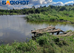 Пасечник: В ЛНР реализуется национальный проект «Экологическое благополучие»