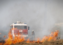 В ЛНР пришли невыносимая жара, засуха, а с ними – лесные пожары