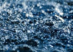 Сюрприз ноября: синоптики обещают тепло и дождь в ЛНР