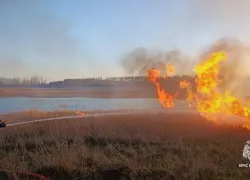 Пожары в ЛНР: как беспечность одного калечит природу для всех