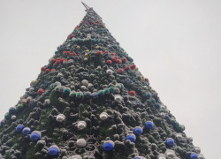 В каких районах Луганска установят новогодние елки