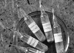 Больше, чем 25 дивизий: как уроженка Луганщины получила первый советский антибиотик 