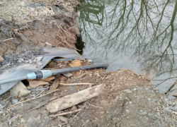 Фабрика по обогащению угля в ЛНР попалась на незаконном водозаборе