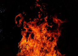 В ЛНР за сутки потушено восемь пожаров, есть погибший