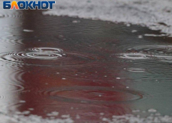 За неделю в Луганске выпадет месячная норма осадков