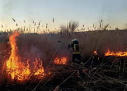 На всей территории ЛНР потушили 10 возгораний в экосистеме 