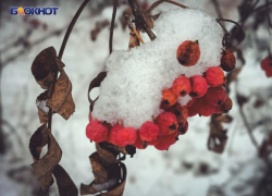 Заморозки на Луганщине достигнут опасных значений