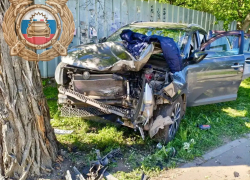 31-летняя луганчанка погибла, врезавшись на Kia в дерево