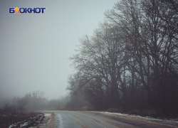 Туман и гололед ожидаются в ЛНР в День матери