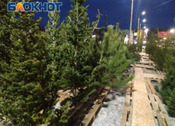 Срубить нельзя купить: самостоятельный поход за ёлкой в ЛНР может обойтись дороже