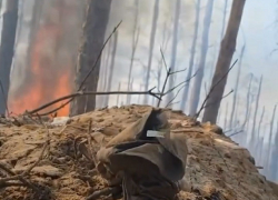 Противника выбивают из Кременских лесов в ЛНР