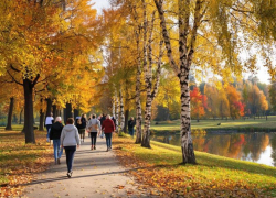 До +15 градусов будет в ЛНР 27 октября