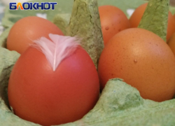 В ЛНР возбудили дело в отношении производителя куриных яиц