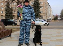 Полицейский-кинолог и его четвероногий напарник поздравили жительниц ЛНР с 8 марта 