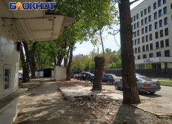 Стало известно, что будет с двумя торговыми зонами в Луганске