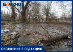 А вода по асфальту рекой: луганчане пожаловались на «коммунальный» водопад на улице Щаденко