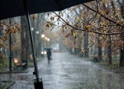 Дожди и до +15°C: синоптики дали прогноз в ЛНР на 15 апреля
