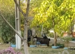 Страсти по Тургеневу: в Свердловске ЛНР состоялась настоящая битва поколений