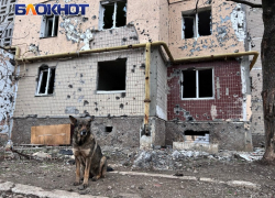  «В Русском Поречном не выжил никто»: политик из ЛНР рассказал, что ВСУ сотворили под Курском