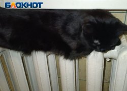 Жители ЛНР не будут платить за холодные батареи