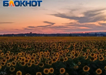 Предприятия ЛНР намерены выйти на международные рынки: от муки до водки
