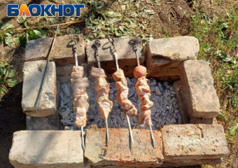 Противопожарный режим в ЛНР: можно ли жарить шашлык на своем участке