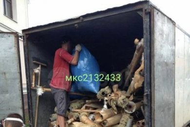 Вывоз мусора,спил деревьев, уборка участков - 