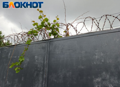 Камнем по голове, ножом и молотком: в ЛНР гастарбайтеры расправились с местным жителем