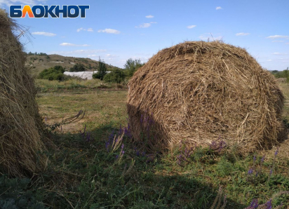 Для сельской местности ЛНР подготовлен список мероприятий по благоустройству