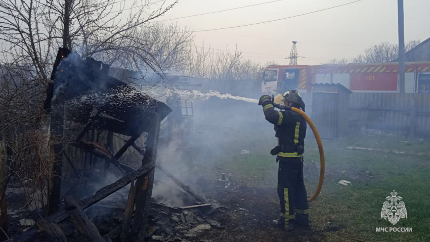 В ЛНР пожары в экосистеме достигли рекордных отметок