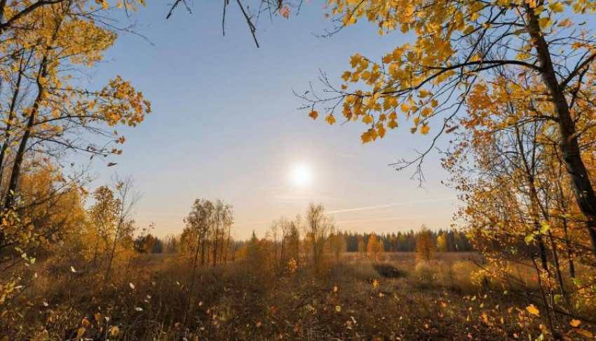 В пятницу в Луганске потеплеет, а тучи развеются