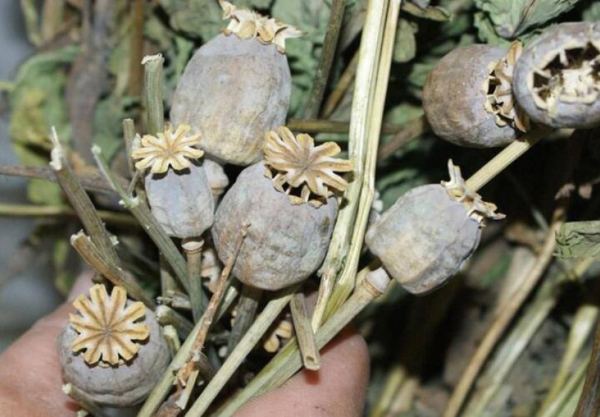 Мужчина собирался торговать наркотиками на Центральном рынке Луганска