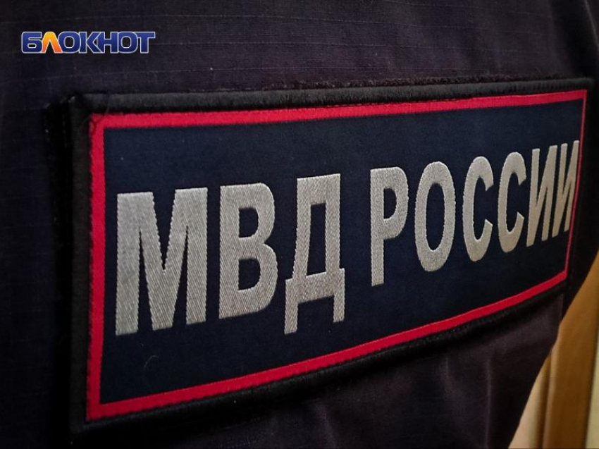В ЛНР правоохранители задержали двоих преступниц 