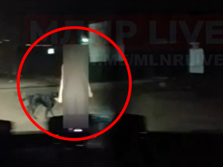 Голую женщину, разгуливающую по вечернему Луганску, передали медикам