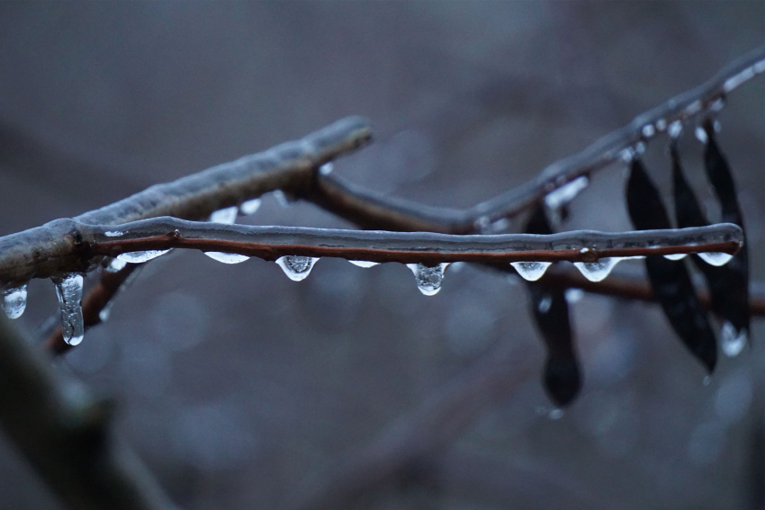 Дождь, туман и гололёд одновременно: как пережить 17 декабря в ЛНР