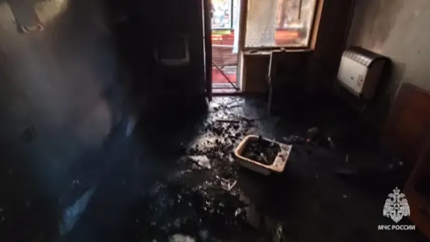 Два человека сгорели заживо в ЛНР, страшные кадры опубликовало МЧС