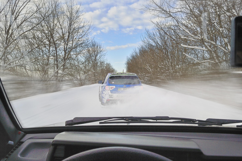 Дождь, мокрый снег и неожиданные перепады температуры: что ждать от погоды в ЛНР 12 декабря