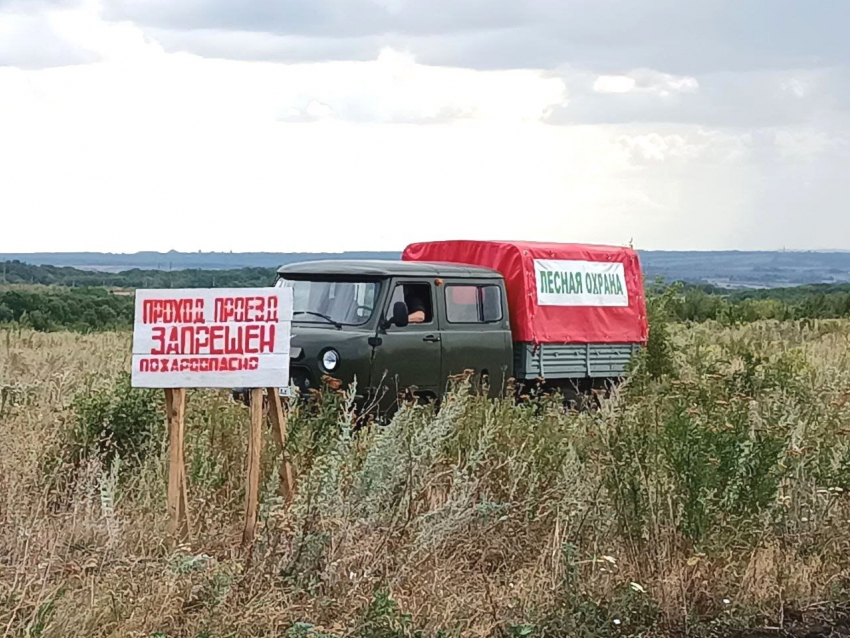 Лесам Луганщины — передышка: пожароопасный сезон официально закрыт