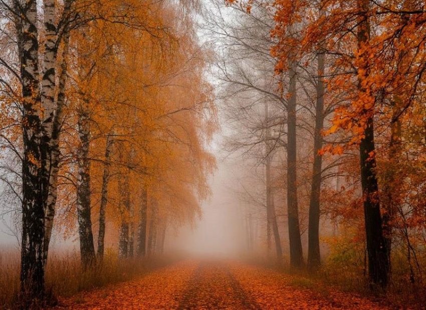 В Луганске потеплеет до +15