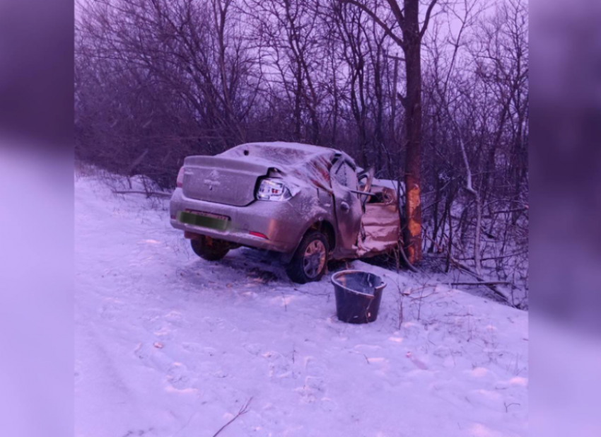 В ЛНР автомобиль вылетел с дороги и врезался в дерево: двое пострадавших в больнице