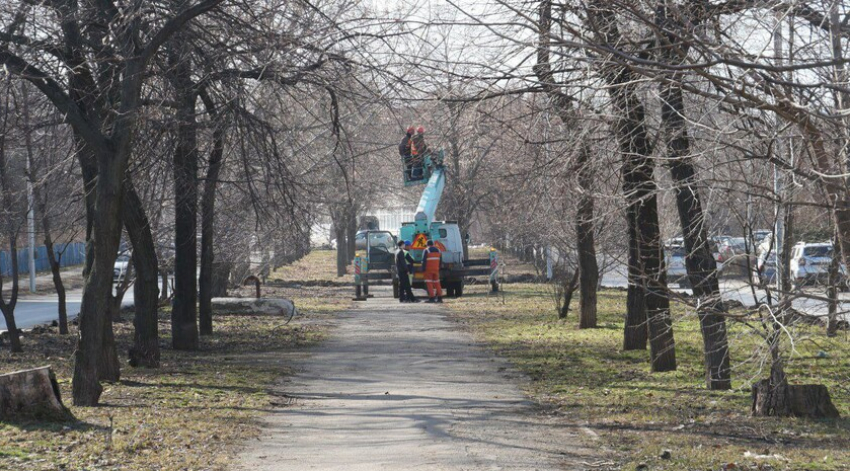 Улица Даля в Луганске изменится до неузнаваемости летом 2026 года