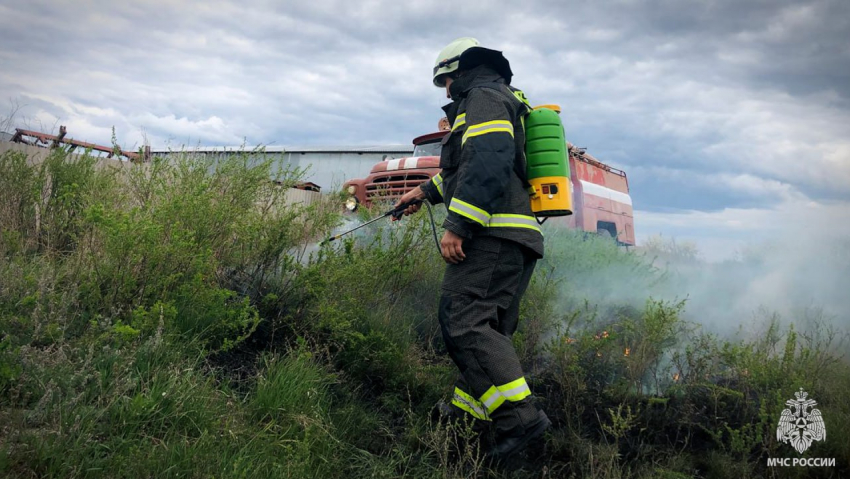 Всего за два дня в результате пожаров в ЛНР выгорело 112 гектаров 