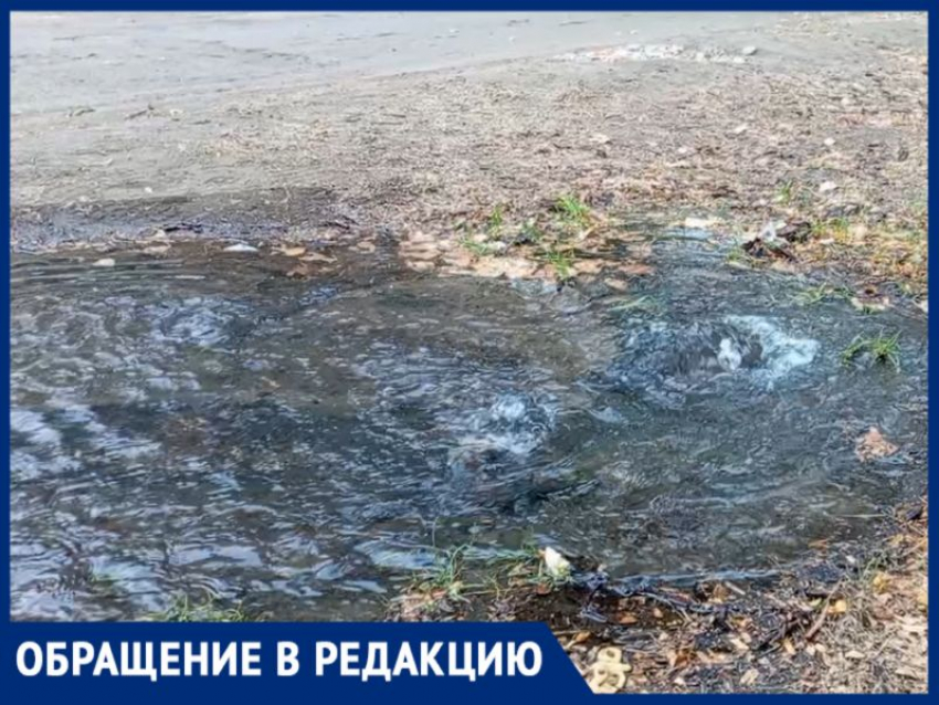 Источник знаний забил ключом воды: возле школы №12 в Луганске прорвало трубу