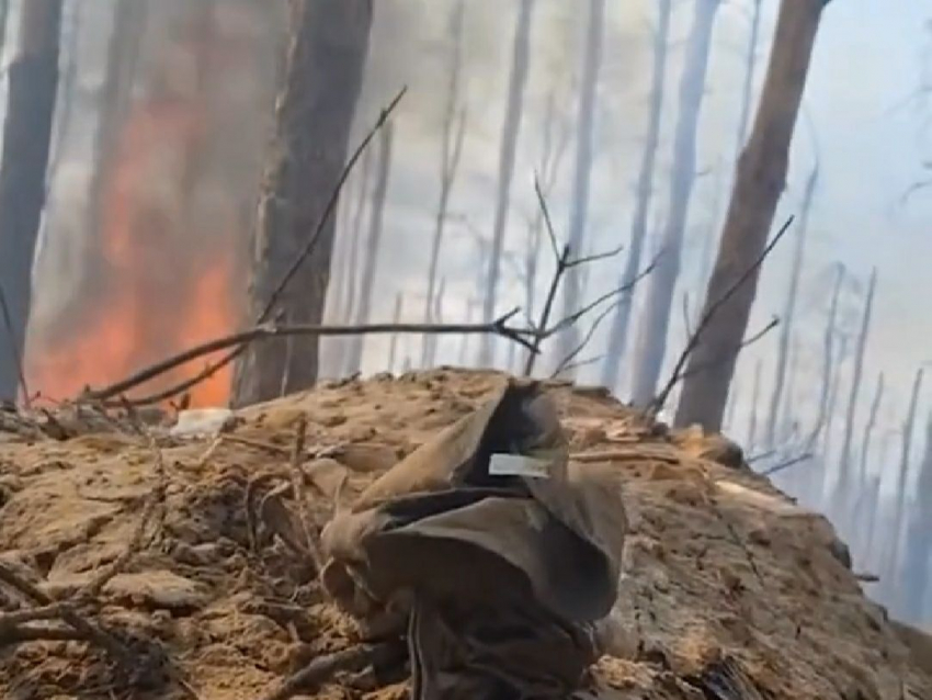Противника выбивают из Кременских лесов в ЛНР