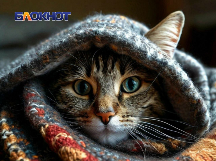 После публикации «Блокнот Луганск» жителям Алчевска пообещали вернуть отопление к четвергу