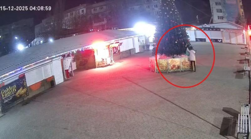 В Луганске женщина нагло украла игрушки с городской ёлки на Юбилейном