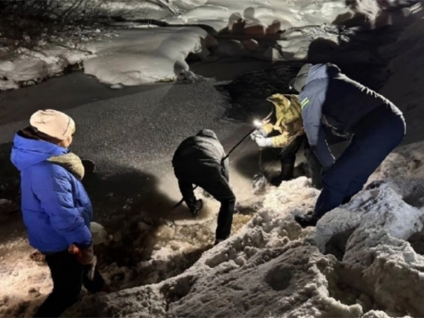 9-летний мальчик, которого убил уроженец Лисичанска ЛНР, рос в неблагополучной семье